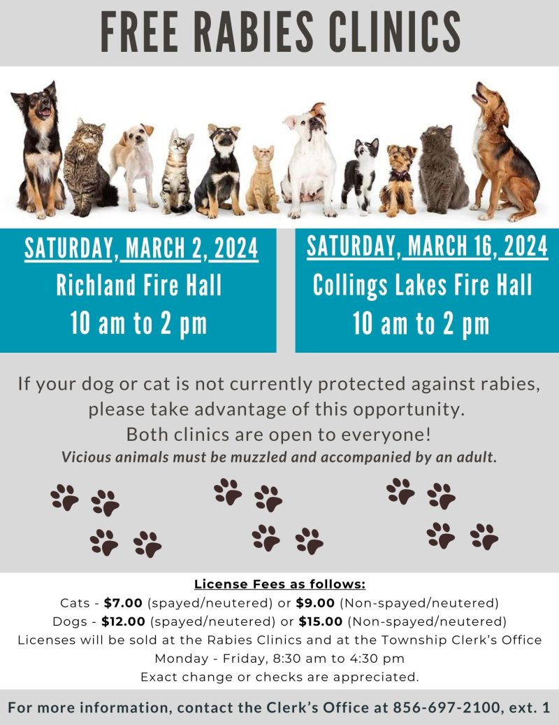 Free Dog & Cat Rabies Clinic March 2024 Buena Vista Township, NJ